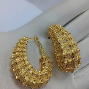 Ladies earrings