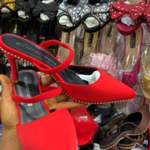 Beautiful shoe